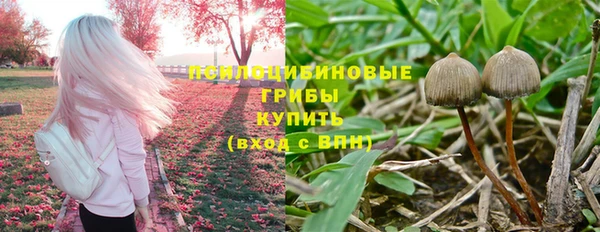 мяу мяу кристалл Аркадак