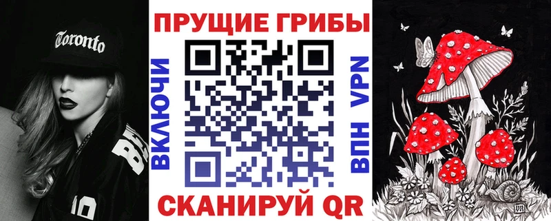 Псилоцибиновые грибы Psilocybine cubensis Иланский